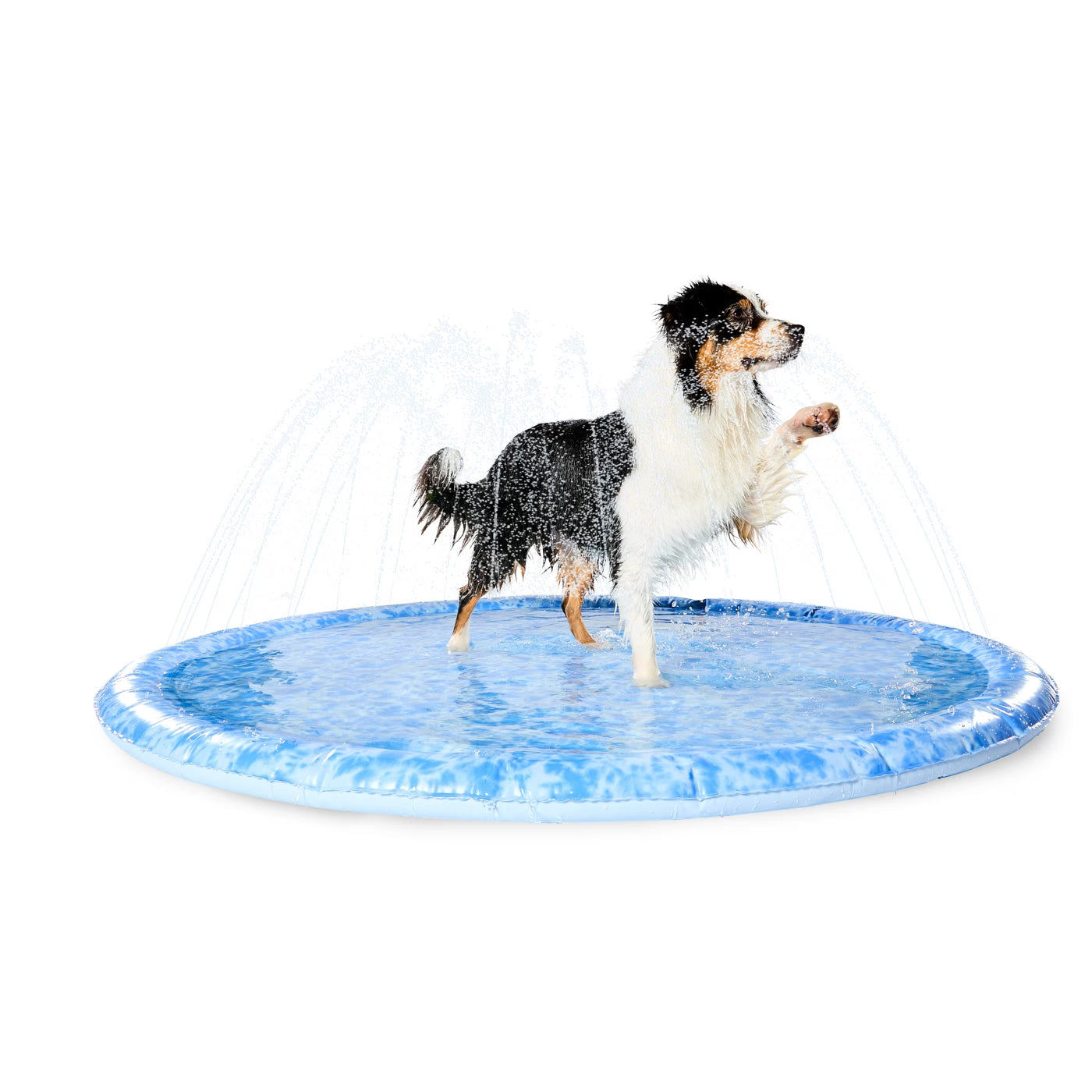 FUENTE INFLABLE PARA PERRO