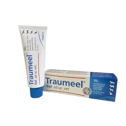 Traumeel en Gel 50g