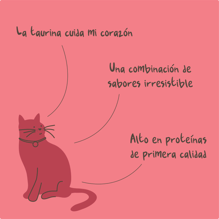 Winga Magic Salmon Gatos Sobre