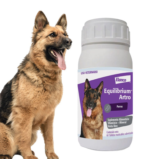 Equilibrium Artro 60 Tabletas
