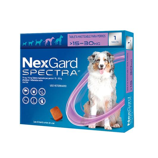 NEXGARD SPECTRA 1 MASTICABLE