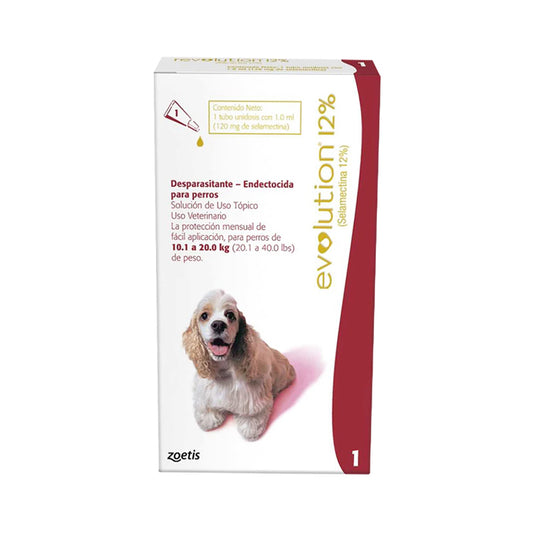 Revolution Pipeta Perro de 10 a 20 Kg