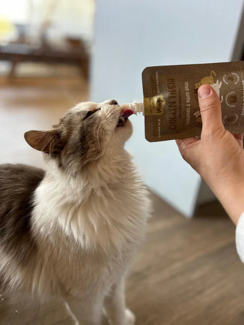 Winga Chicken Fiesta Gato Sobre