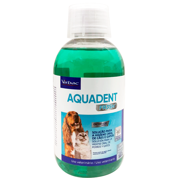AQUADENT
