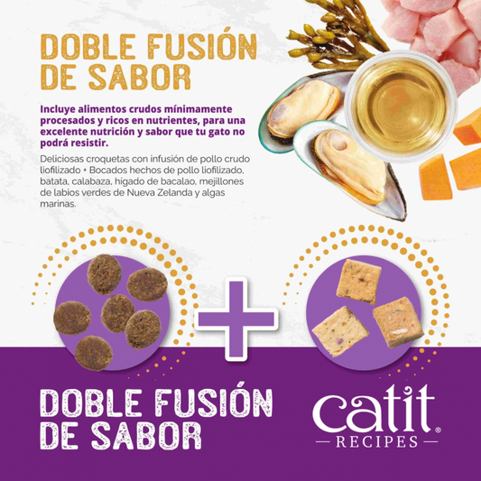 CAT IT RECIPES INDOOR