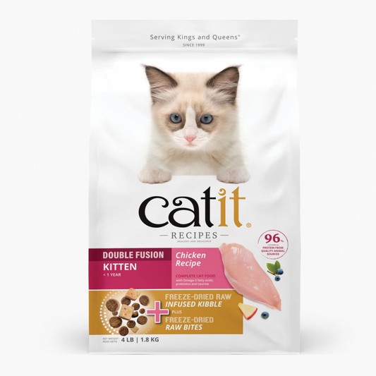 CAT IT RECIPES KITTEN