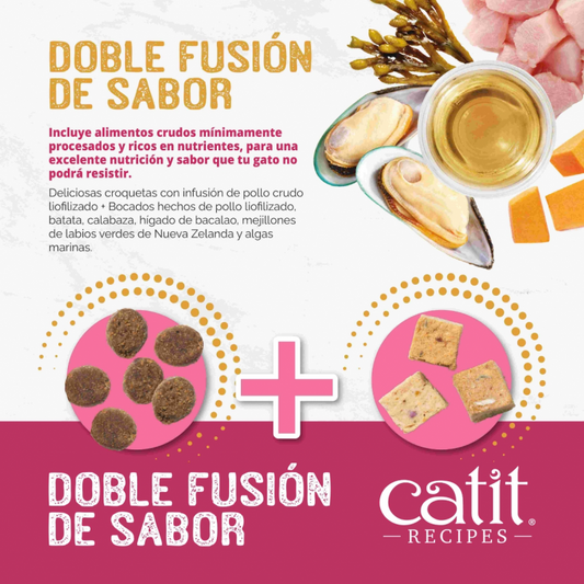 CAT IT RECIPES KITTEN