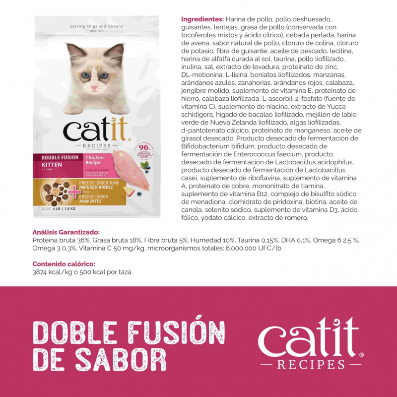 CAT IT RECIPES KITTEN