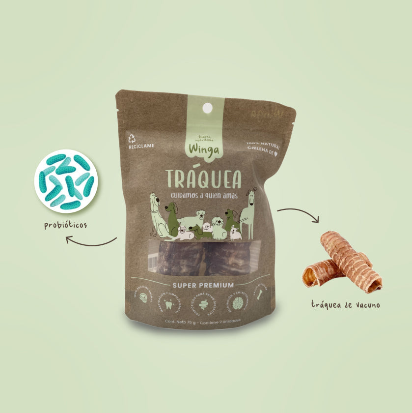 Winga Tráquea