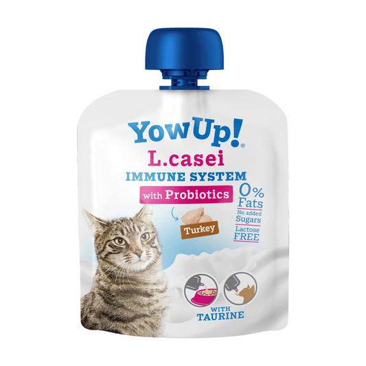 YOW UP YOGURT L CASEI GATO 85 GR