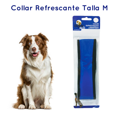 Collar Refrescante para Perros