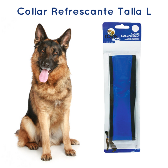 Collar Refrescante para Perros