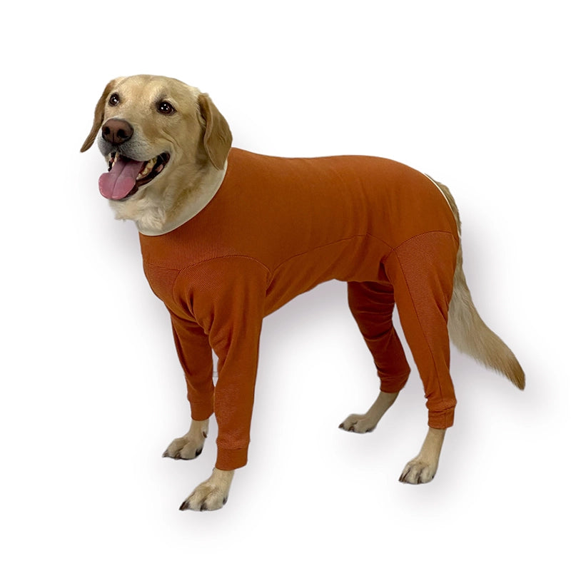 Body de Cobre Completo 4 Patas Perro/gato