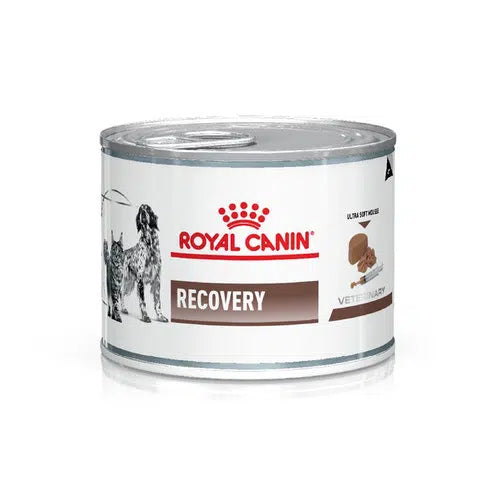 Royal Canin Recovery Perro/Gato Lata