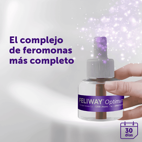 Feliway Optimum Kit Difusor