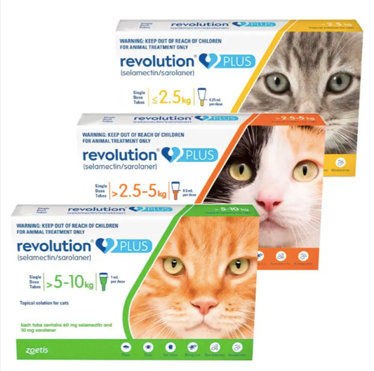 Revolution Plus Gatos