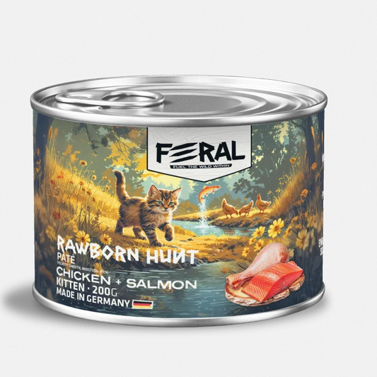 FERAL WET CAT KITTEN CHICKEN/SALMON