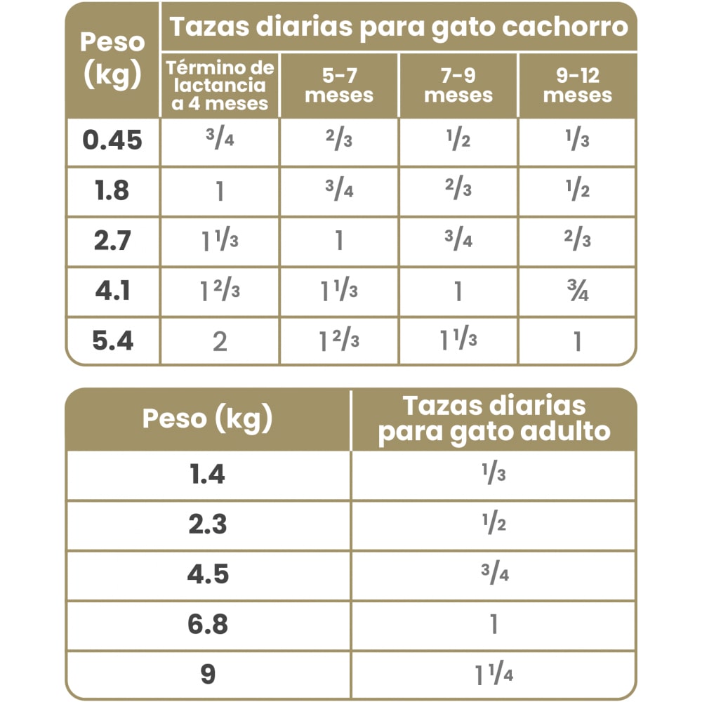 Taste of the Wild Canyon River Trucha y Salmón Ahumado Gato