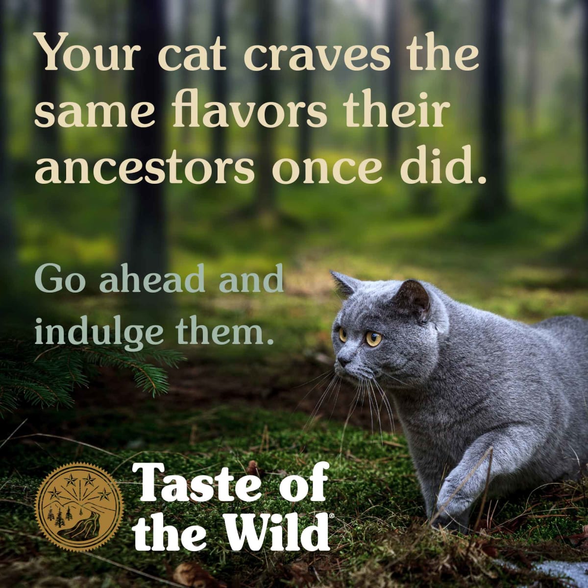 Taste of the Wild Lowland Creek Codorniz y Pato Asados Gato