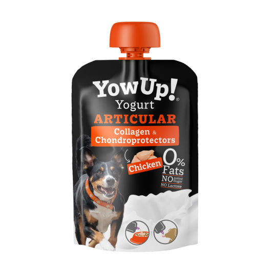 YOW UP YOGURT ARTICULAR 115 GR ARTICULAR