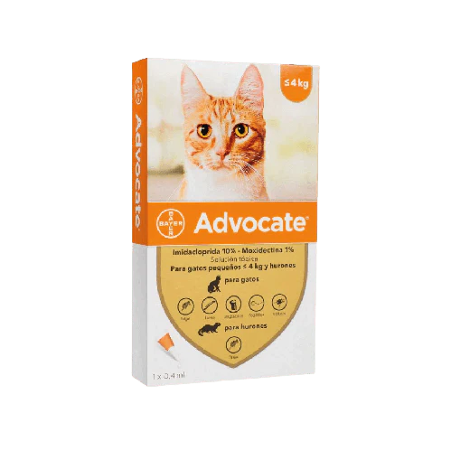 Advocate Gatos