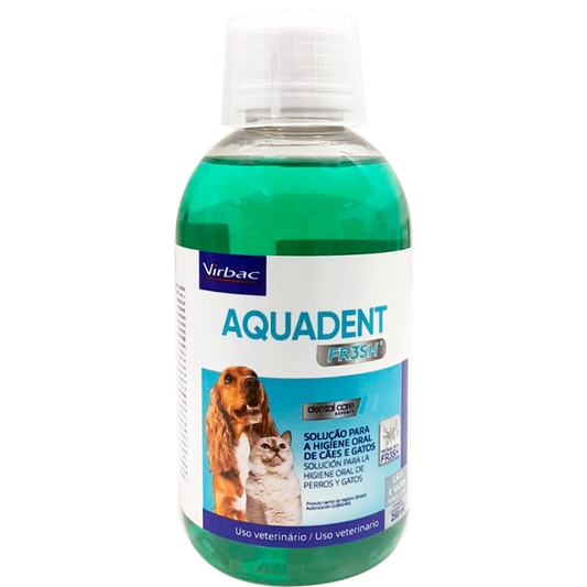 AQUADENT