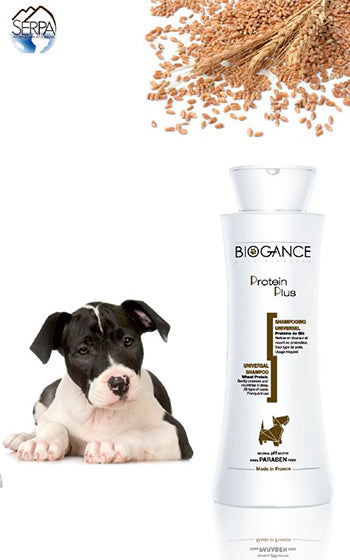 Biogance Shampoo Protein Plus