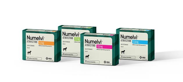 Numelvi