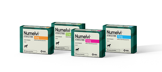 Numelvi