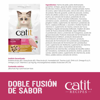 CAT IT RECIPES KITTEN