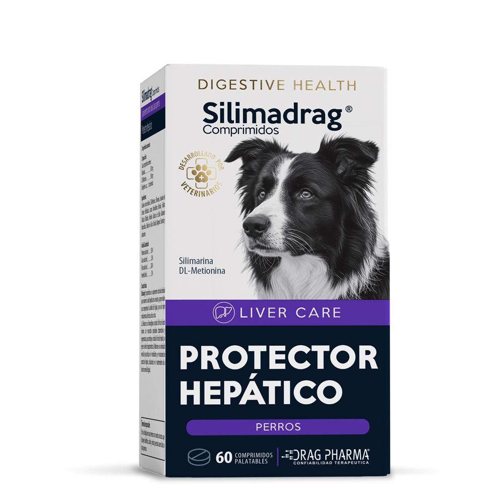 Silimadrag 60 comprimidos