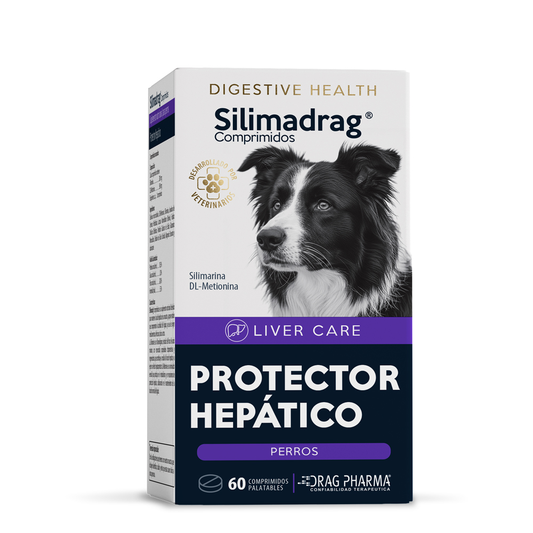 Silimadrag 60 comprimidos