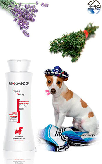 Biogance Shampoo Fleas Away Perro