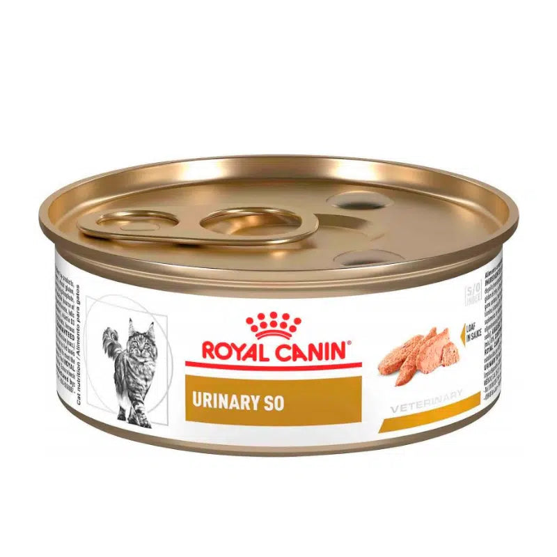 Royal Canin Urinary S/O Felino Lata