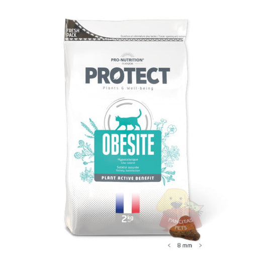 PROTECT GATO OBESITE 2 KG