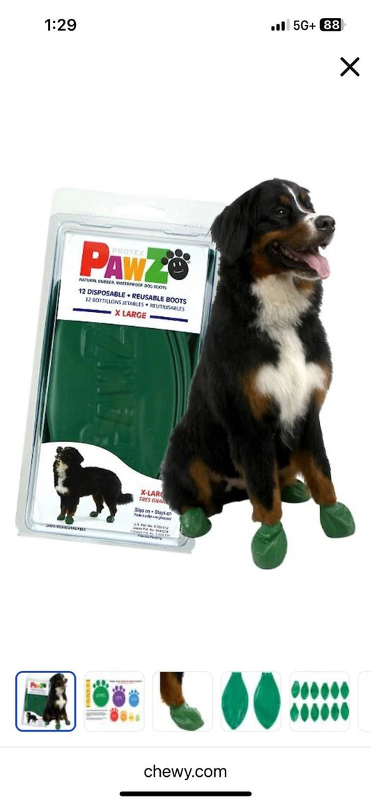 BOTIN PAWZ VERDE XL